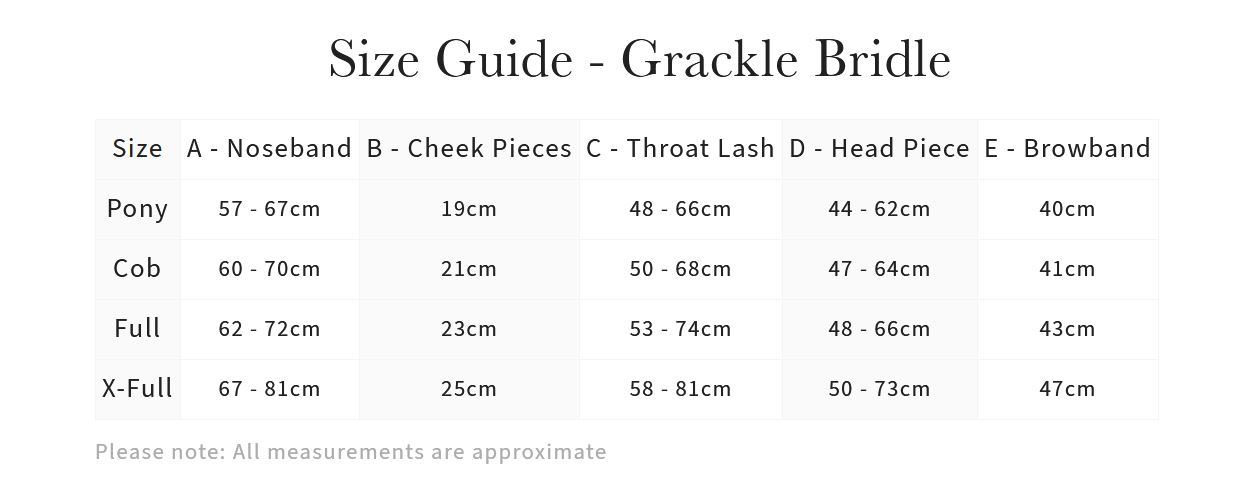 CompBridle_Size 2